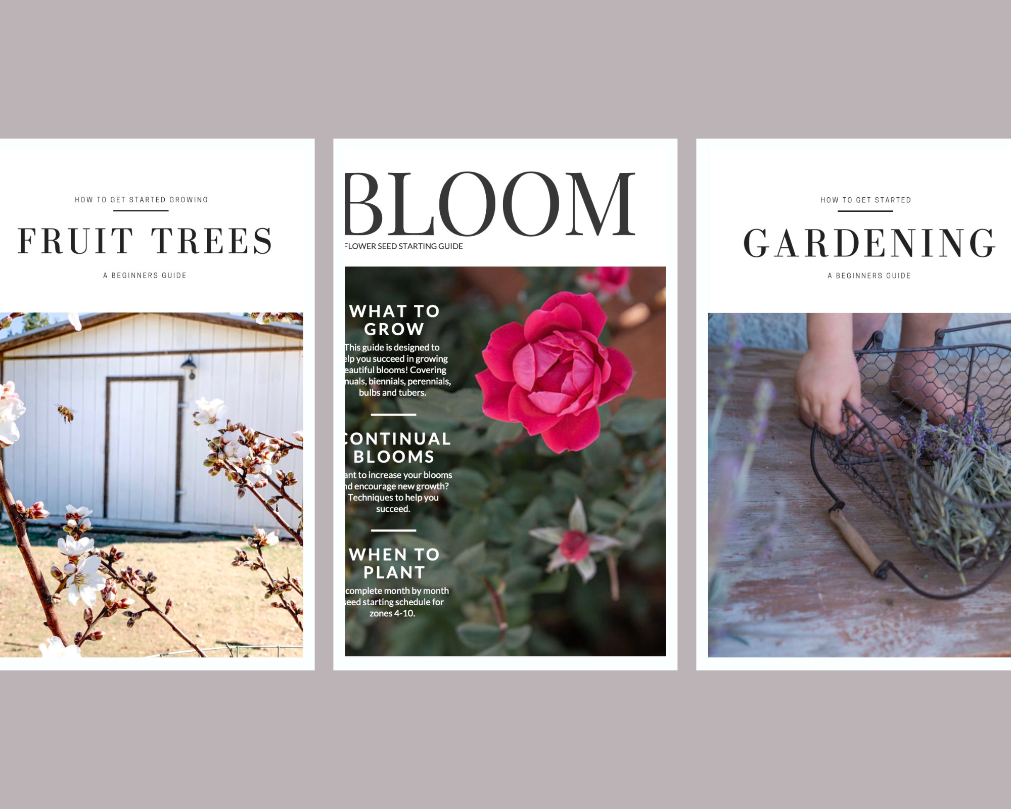 Guides – She's Rooted Home