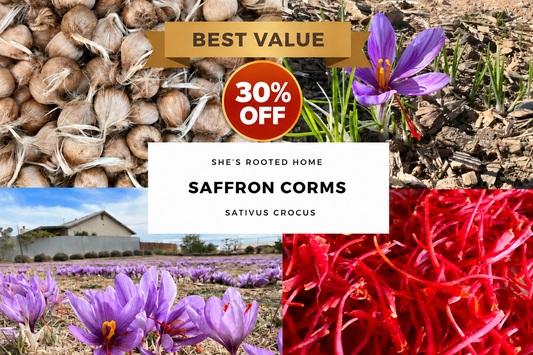 100-count saffron image with Best Value banner and centered 30% OFF badge