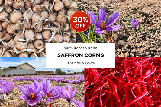 12-count saffron image with centered 30% OFF badge