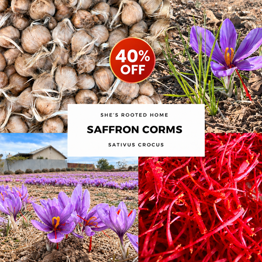 40% off badge on 100-count saffron kit