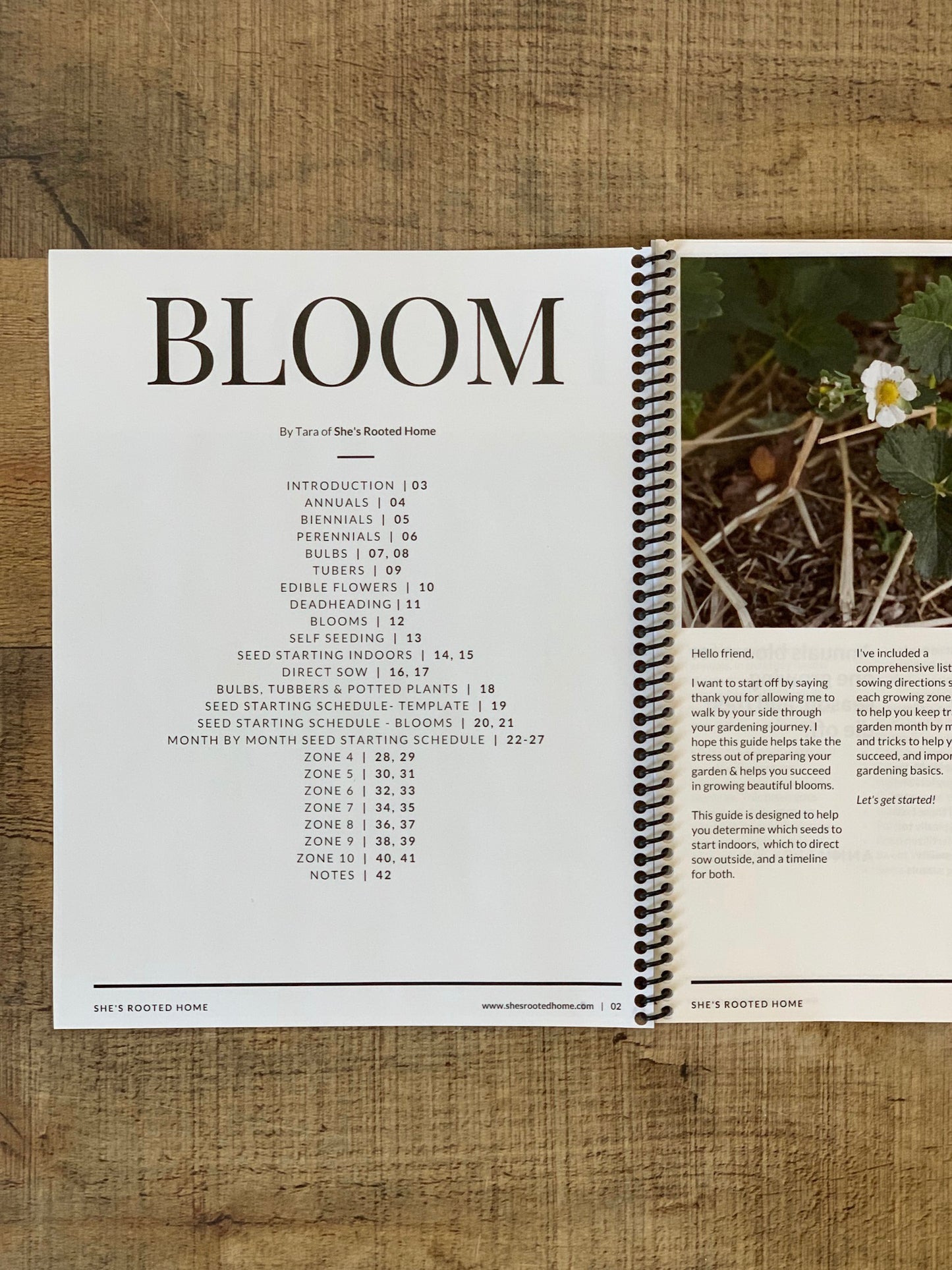 BLOOM & GROW - A Flower & Vegetable Seed Starting Guide