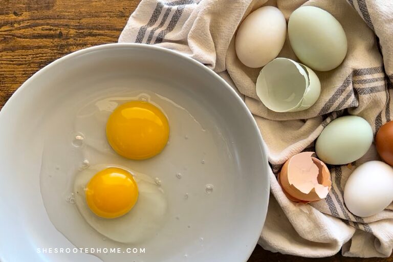 A Back-to-the-Basics Cookbook