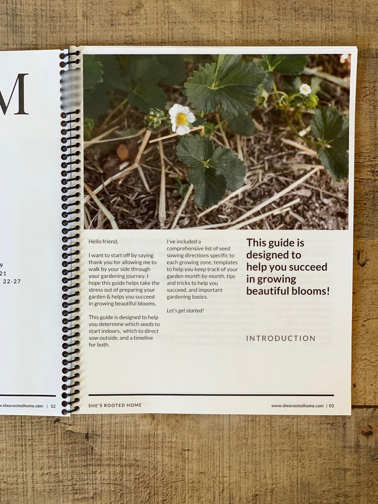 BLOOM & GROW - A Flower & Vegetable Seed Starting Guide