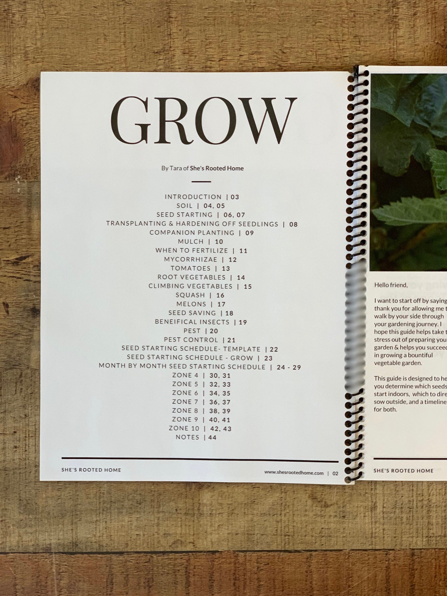 GROW - A Vegetable Seed Starting Guide