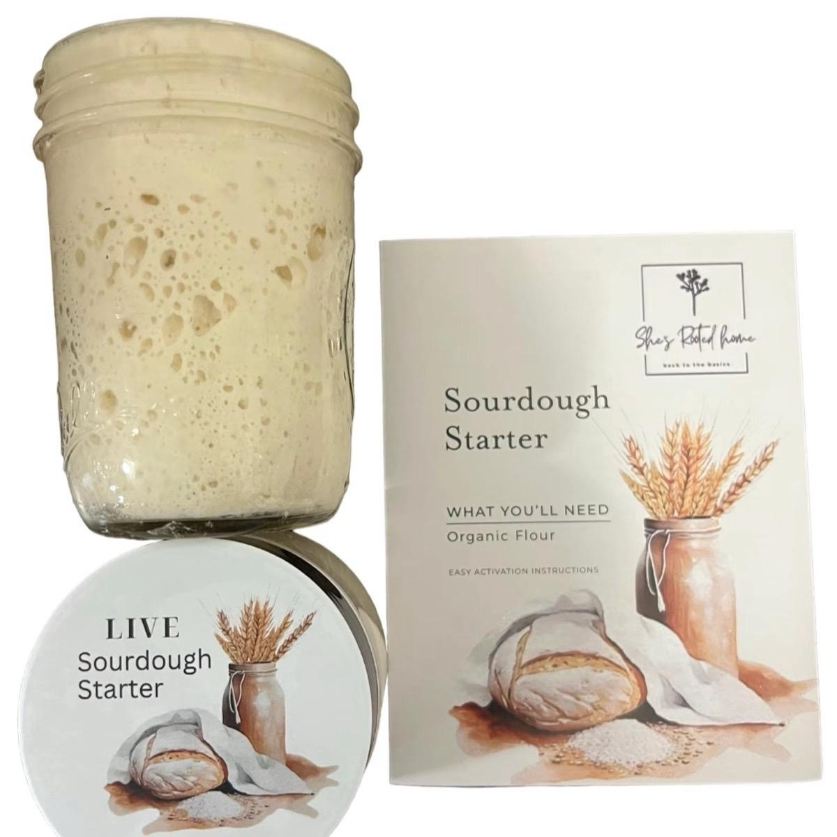 Live Active Sourdough Starter