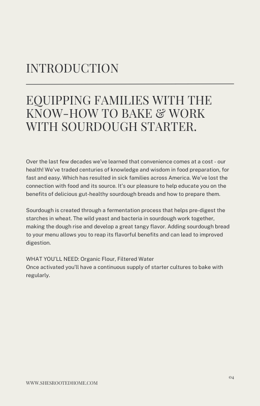 How to Maintain SOURDOUGH STARTER- A Beginners Guide