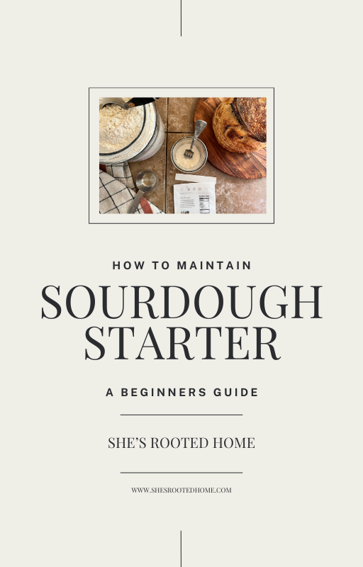 How to Maintain SOURDOUGH STARTER- A Beginners Guide