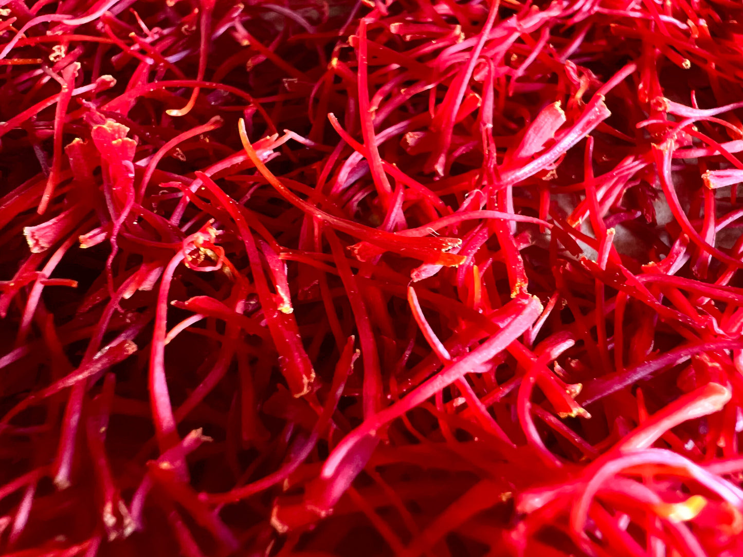 Grow Your Own Saffron at Home Beginner-Friendly (24 count)
