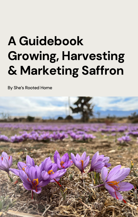 Guidebook (Growing, Harvesting & Marketing Saffron)