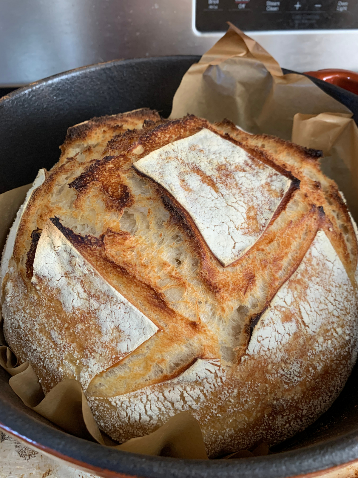 Live Active Sourdough Starter