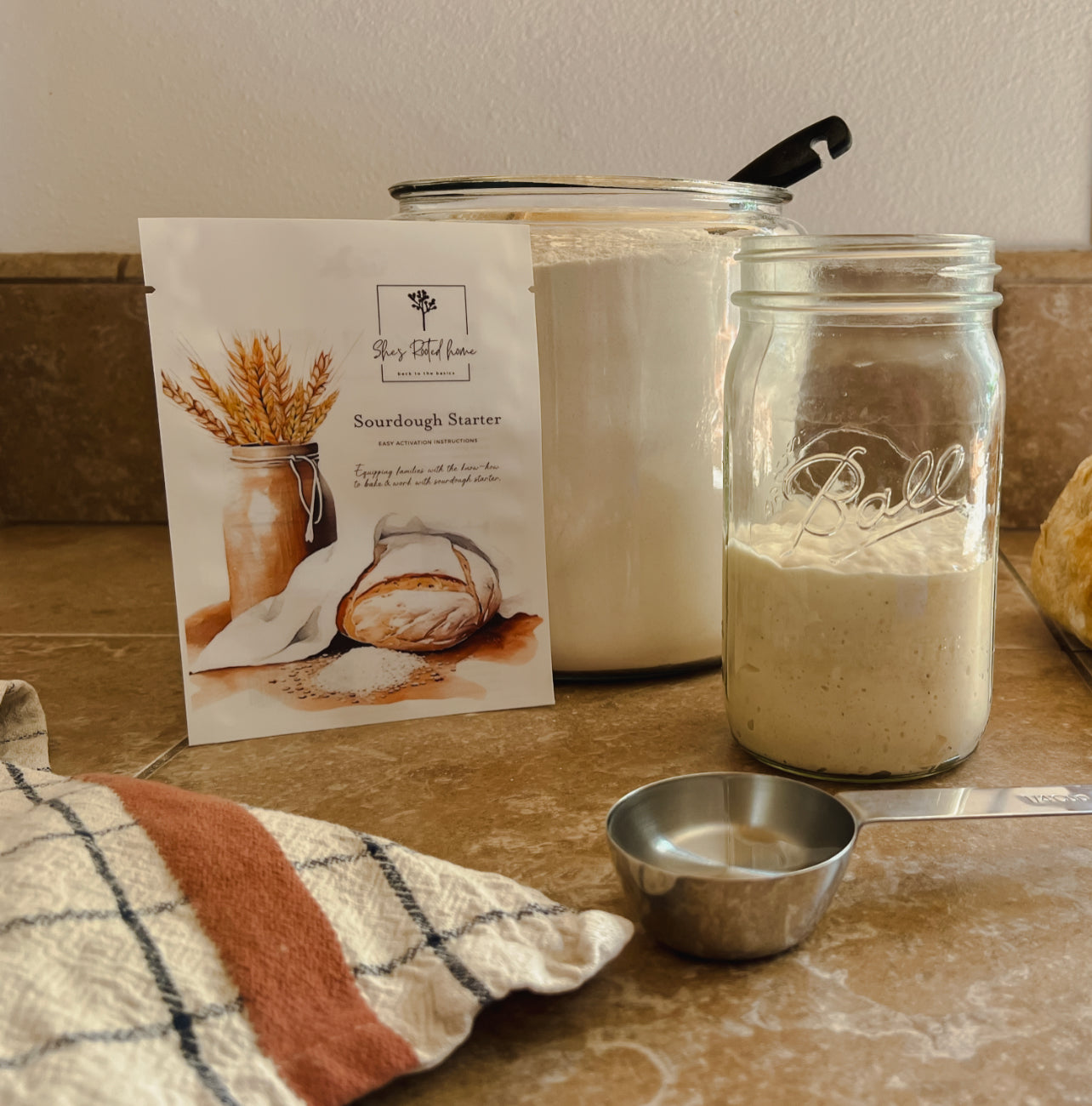 How to Maintain SOURDOUGH STARTER- A Beginners Guide