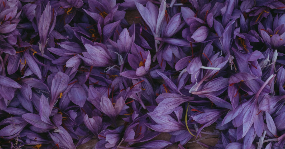 The Saffron Growers Club