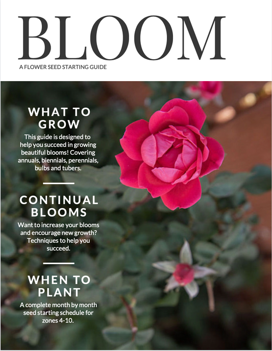 BLOOM - A Flower Seed Starting Guide