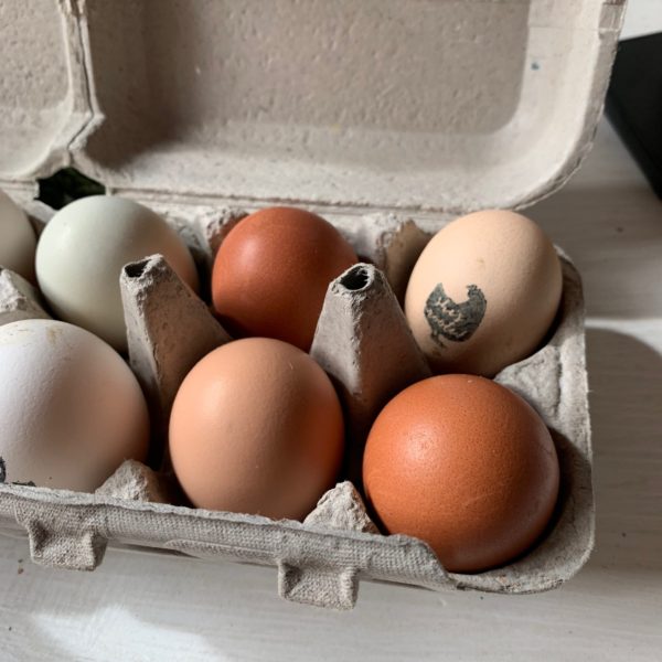 How to sell your farm fresh eggs She’s Rooted Home