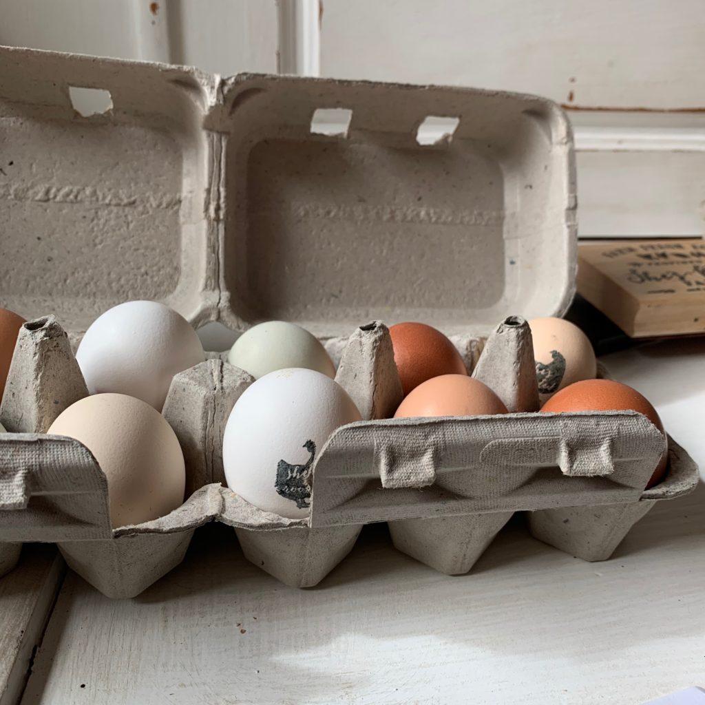backyard chickens selling your farm fresh eggs