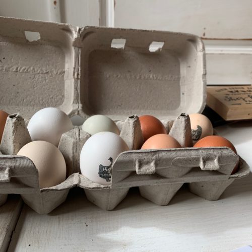 How to sell your farm fresh eggs She’s Rooted Home