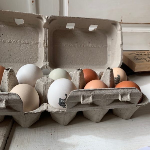 How to sell your farm fresh eggs She’s Rooted Home