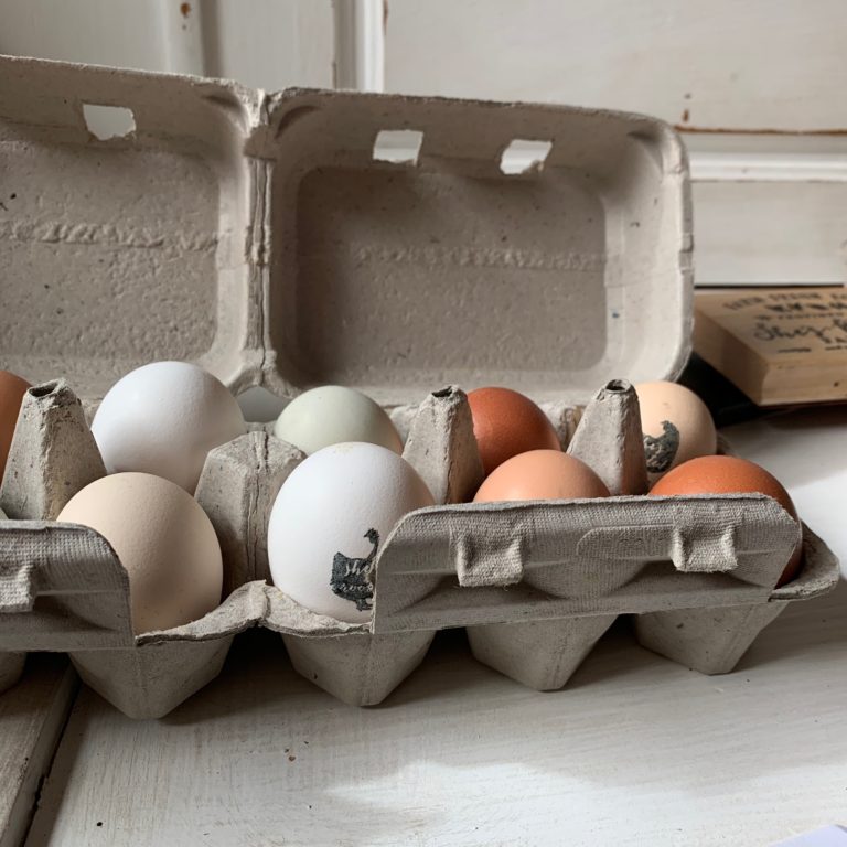 How to sell your farm fresh eggs She’s Rooted Home