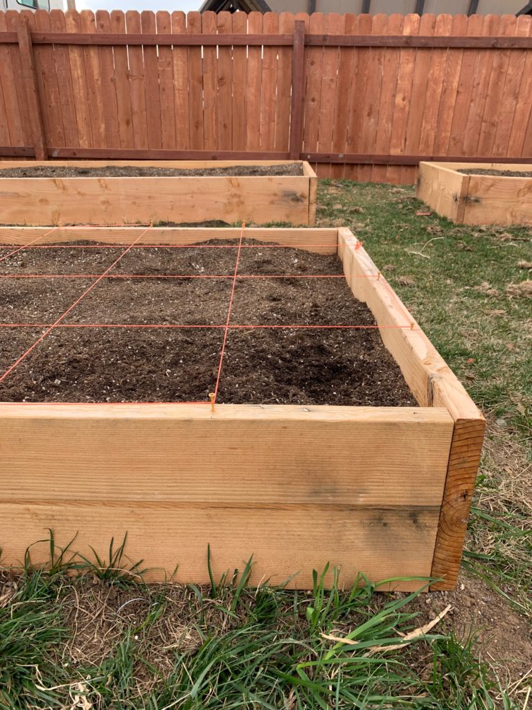 grow your own food cheap and easy diy raised garden bed