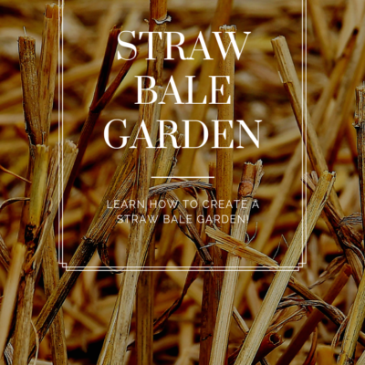 How To Create A Straw Bale Garden