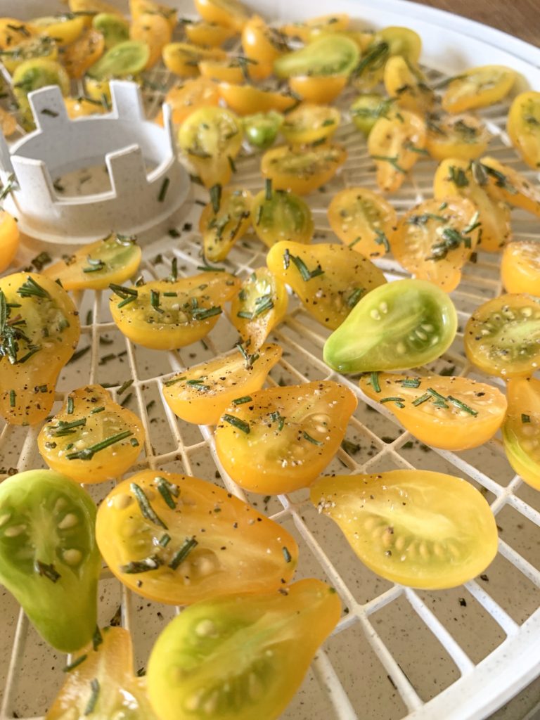 How To Use Up Extra Garden Tomatoes She's Rooted Home