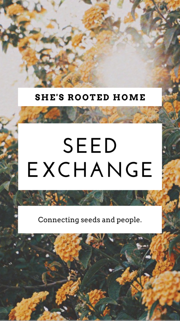 Seed Exchange Package Guide for the Homesteader