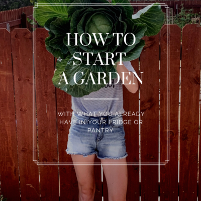 How To Start A Garden With What You Already Have