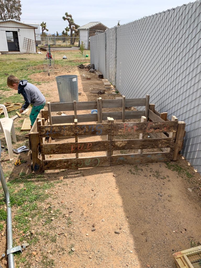 Chicken Victory Garden