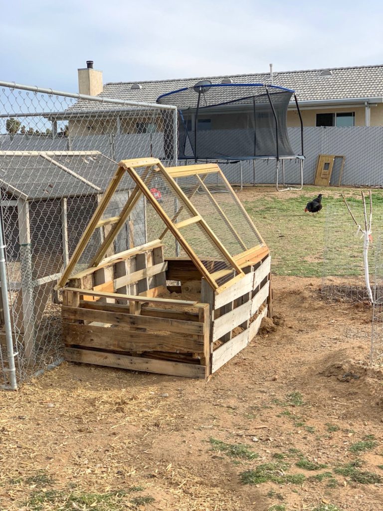 Chicken Victory Garden