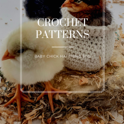 Crochet Baby Chick Hatching Egg