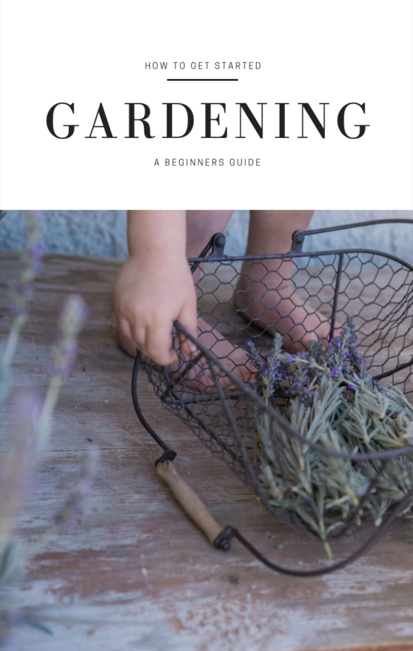 How To Get Started GARDENING, A Beginners Guide - She's Rooted Home