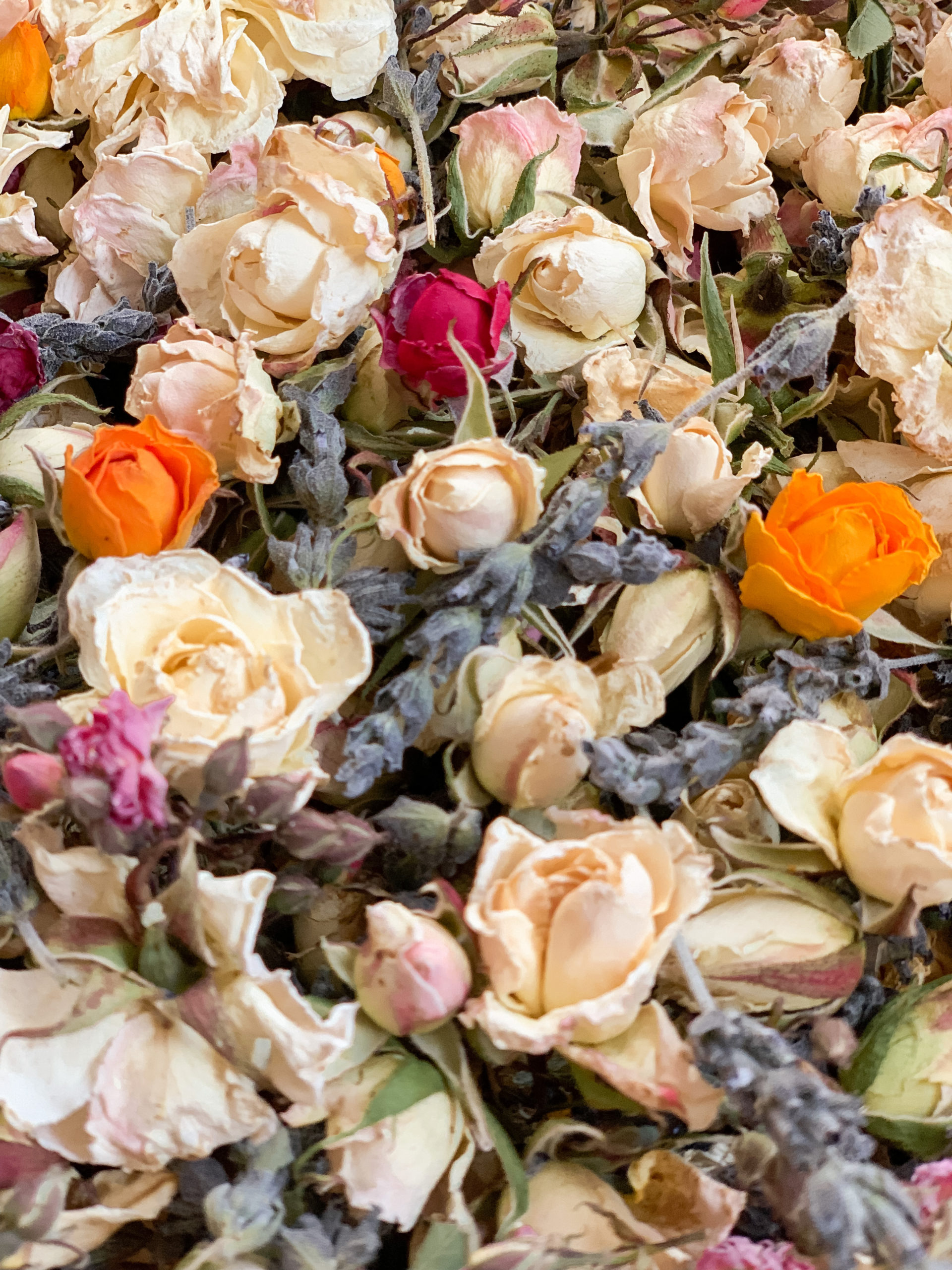How to Preserve and Use Dried Flowers